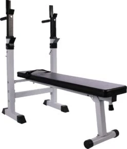 Physionics - Halterbank - Dips Bank - Bankdruk - Buiktrainer - Rugtrainer - Gewicht Heffen - Antislip - Verstelbaar -Merkloos Winkel 1023x1200 3