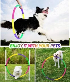 Borvat® | Hoelahoep For Kids - Afneembaar - Verstelbaar Gewicht - Meisjes En Jongens - Fitness - Dierentraining -Merkloos Winkel 1029x1200 15