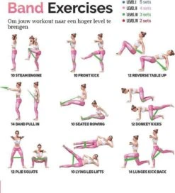 Merkloos Weerstandsbanden - Set Van 5 Fitness Elastieken - Fitnessbanden Voor Training Thuis Sportschool Gym - Perfect Voor Yoga Pilates Rekken Fietsers Renners Crossfit- Fitness Elastiek- Met Gratis Trainingsschema -Merkloos Winkel 1091x1200 11