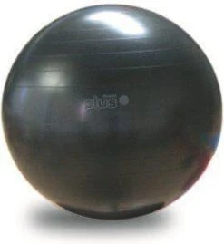 Gymnic Plus 65 BRQ - Zitbal En Fitnessbal - Zwart - Ø 65 Cm 13 Gymnic Plus 65 BRQ - Zitbal En Fitnessbal - Zwart - Ø 65 Cm -Merkloos Winkel 1103x1200 15