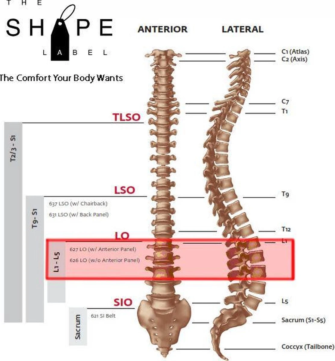 The Shape Label™ - Lumbar Belt Advanced™ Rugbrace - Medische Rugband Voor De Onderrug & Rugpijn 12 The Shape Label™ - Lumbar Belt Advanced™ Rugbrace - Medische Rugband Voor De Onderrug & Rugpijn - Afbeelding 10