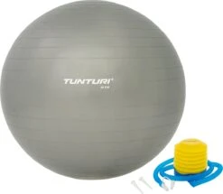 Tunturi Fitness Bal - Yoga Bal Inclusief Pomp - Pilates Bal - Zwangerschaps Bal - 55 Cm - Kleur: Zilver - Incl. Gratis Fitness App