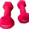 Db SKILLS 1KG Dumbbell Set Van 2 Stuks - Gewichten - Fitness - Sport -Merkloos Winkel 1200x1049 2