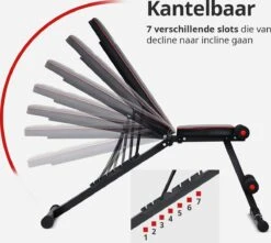 EchoGoods Halterbank - Inclusief Gratis Weerstandbanden En E-book - Fitnessbank - Bench Press - Trainingsbank - Halterbank Verstelbaar - Halterbank Opklapbaar - Rugsteun - Halterbank Gemonteerd + GRATIS E-book -Merkloos Winkel 1200x1073