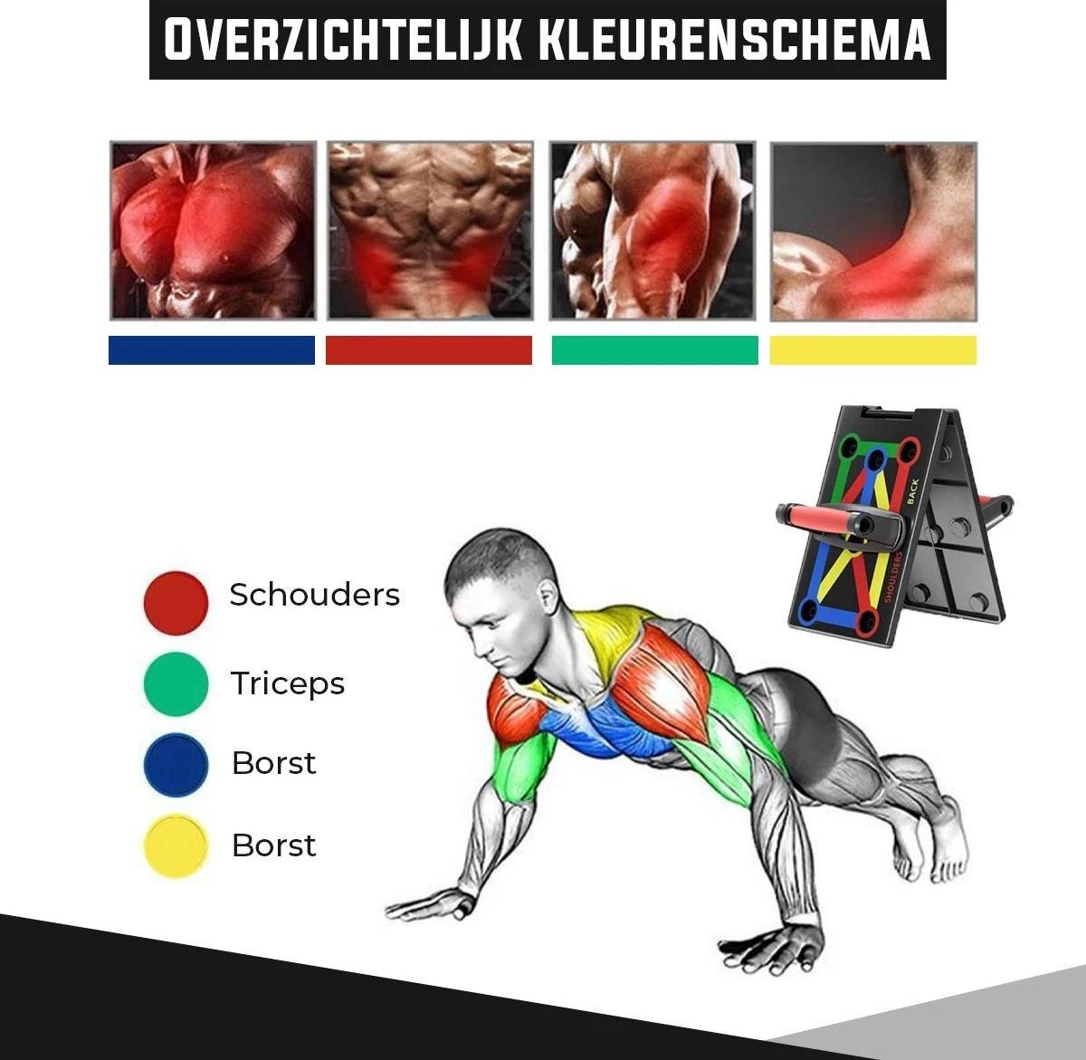 Fitsly - Push Up Bord Met Resistance Band Set - Workout Board Incl. E-Book - Fitness Elastiek En Oefeningen - Bars En Grips - Home Gym 6 Fitsly - Push Up Bord Met Resistance Band Set - Workout Board Incl. E-Book - Fitness Elastiek En Oefeningen - Bars En Grips - Home Gym - Afbeelding 4