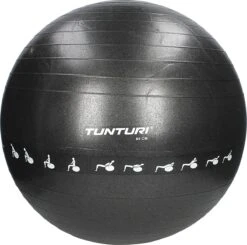 Tunturi Fitnessbal - Gymball - Swiss Ball - 65 Cm - Anti Burst - Incl. Pomp - Zwart - Incl. Gratis Fitness App -Merkloos Winkel 1200x1188 39