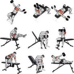 EchoGoods Halterbank - Inclusief Gratis Weerstandbanden En E-book - Fitnessbank - Bench Press - Trainingsbank - Halterbank Verstelbaar - Halterbank Opklapbaar - Rugsteun - Halterbank Gemonteerd + GRATIS E-book -Merkloos Winkel 1200x1197 28