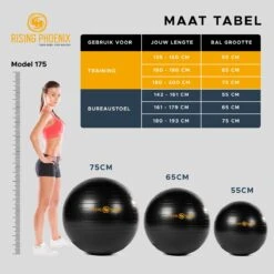 RP® Fitness Bal Yoga Zitbal Fitnessbal Gymbal Pilates Yogabal Balansbal - Tas, Steunring & Resistance Bands - Handpomp & Ebook -Merkloos Winkel 1200x1198 63