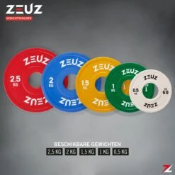 ZEUZ® Halterschijf 2 Stuks 0.5 KG – 1 KG Gewichten Set – Voor 50 Mm Halter – Crossfit & Fitness – Metaal & Rubber -Merkloos Winkel 1200x1200 2188