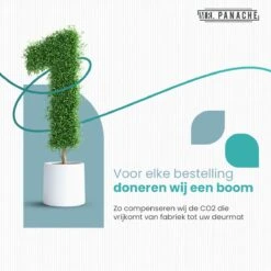 Merkloos MR. PANACHE Premium Ab Roller - Springtouw - Trainingswiel - Ab Trainer - Ab Wheel - Buikspiertrainer - Jump Rope - Cadeautip 12 Merkloos MR. PANACHE Premium Ab Roller - Springtouw - Trainingswiel - Ab Trainer - Ab Wheel - Buikspiertrainer - Jump Rope - Cadeautip -Merkloos Winkel 1200x1200 2829