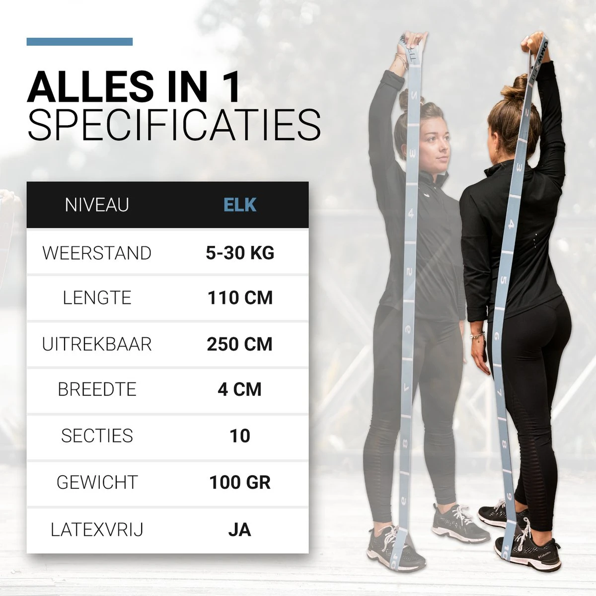 FITELASTIX® Premium Weerstandsband Lang - Full Body - Alles In 1 - Voor Elk Niveau - Resistance Band - Fitness Elastiek - Sport Elastiek Fitness - Met Handvatten - Inclusief Instructievideo's - Blauw 5 FITELASTIX® Premium Weerstandsband Lang - Full Body - Alles In 1 - Voor Elk Niveau - Resistance Band - Fitness Elastiek - Sport Elastiek Fitness - Met Handvatten - Inclusief Instructievideo's - Blauw - Afbeelding 3