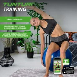 Tunturi Fitness Bal - Yoga Bal Inclusief Pomp - Pilates Bal - Zwangerschaps Bal - 65 Cm - Kleur: Zilver - Incl. Gratis Fitness App -Merkloos Winkel 1200x1200 3782