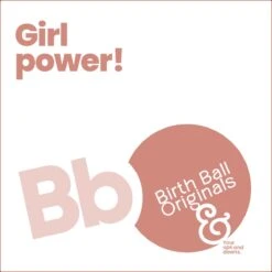 Birth Ball Originals – Zwangerschapsbal – Ergonomische Yoga Bal – Incl. Roze Wasbare Hoes – Incl. Pomp – 65 CM Hoog -Merkloos Winkel 1200x1200 3834