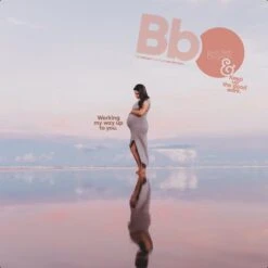 Birth Ball Originals – Zwangerschapsbal – Ergonomische Yoga Bal – Incl. Roze Wasbare Hoes – Incl. Pomp – 65 CM Hoog -Merkloos Winkel 1200x1200 3836