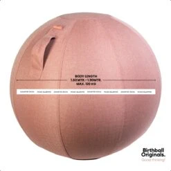 Birth Ball Originals – Zwangerschapsbal – Ergonomische Yoga Bal – Incl. Roze Wasbare Hoes – Incl. Pomp – 65 CM Hoog -Merkloos Winkel 1200x1200 3837