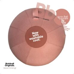 Birth Ball Originals – Zwangerschapsbal – Ergonomische Yoga Bal – Incl. Roze Wasbare Hoes – Incl. Pomp – 65 CM Hoog -Merkloos Winkel 1200x1200 3838