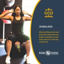 RP® Fitness Bal Yoga Zitbal Fitnessbal Gymbal Pilates Yogabal Balansbal - Tas, Steunring & Resistance Bands - Handpomp & Ebook -Merkloos Winkel 1200x1200 3852