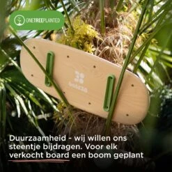 Bold38 - Balance Board - Balansbord - Premium (duurzame) Materialen -Merkloos Winkel 1200x1200 4101