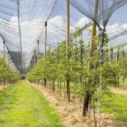 Relaxdays Vogelnet - Vijvernet - Kleine Maaswijdte - Fruitnet - Anti-vogelnet - Zwart 5 X 4 M 10 Relaxdays Vogelnet - Vijvernet - Kleine Maaswijdte - Fruitnet - Anti-vogelnet - Zwart 5 X 4 M -Merkloos Winkel 1200x1200 7473