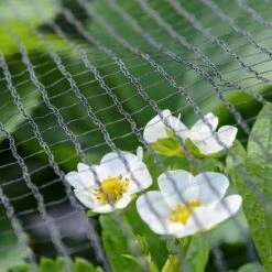 Relaxdays Vogelnet - Vijvernet - Kleine Maaswijdte - Fruitnet - Anti-vogelnet - Zwart 5 X 4 M 13 Relaxdays Vogelnet - Vijvernet - Kleine Maaswijdte - Fruitnet - Anti-vogelnet - Zwart 5 X 4 M -Merkloos Winkel 1200x1200 7476