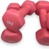 Dumbells - Neopreen Set 1, 2 En 3 Kg - Dumbellset - Halterset - Fitness Gewichten - Paars En Roze 2 Dumbells - Neopreen Set 1, 2 En 3 Kg - Dumbellset - Halterset - Fitness Gewichten - Paars En Roze -Merkloos Winkel 1200x511 2