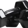 Active Panther Dumbbell Set 2 X 4 KG - 8 Kg Totaal - Vinyl - Zwart