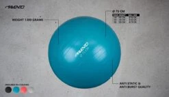 Avento Fitness/Gymbal - Ø 75 Cm - Zilver -Merkloos Winkel 1200x690 117
