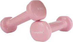 ScSPORTS® Dumbbells - 2 X 0,5 Kg - Vinyl - Pastel Roze - Gewichten - Halters -Merkloos Winkel 1200x702 1