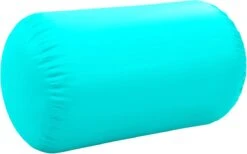 VidaXL Gymnastiekrol Met Pomp Opblaasbaar 100x60 Cm PVC Groen -Merkloos Winkel 1200x747 1