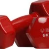 Active Panther Dumbbell Set 2 X 6 KG - 12 Kg Totaal - Vinyl - Rood 1 Active Panther Dumbbell Set 2 X 6 KG - 12 Kg Totaal - Vinyl - Rood -Merkloos Winkel 1200x758 8