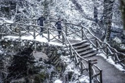 Rogelli Enjoy Runningtop - Sporttrui Dames - Grijs/Zwart/Roze - Maat M -Merkloos Winkel 1200x800 431