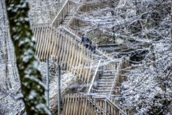 Rogelli Enjoy Runningtop - Sporttrui Dames - Grijs/Zwart/Roze - Maat M -Merkloos Winkel 1200x800 432