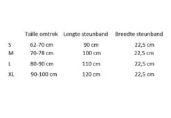 Maat L Rug Ondersteuning - Uniseks Elastische Gordel - Rugpijn Hulpband - Steunband Rug - Taille Steun - Zwart -Merkloos Winkel 1200x833 11