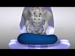 Togu Dynair Senso Balkussen/Wiebelkussen Ø 36 Cm - Volwassenen - Zwart -Merkloos Winkel 1200x900 27