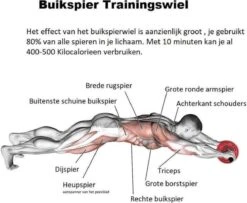 Trainingswiel - Ab Trainer - Ab Wheel - Ab Roller - Buikspierwiel - Buikspierapparaat - Buikspiertrainer - Crossfit – Rood -Merkloos Winkel 1200x988 6