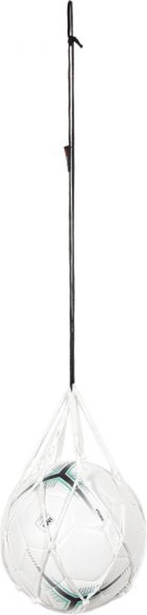 Stanno Ballennet 4 Stanno Ballennet - Afbeelding 2