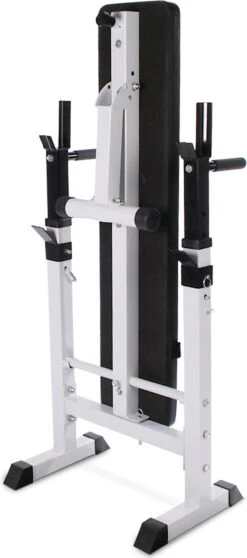 Physionics - Halterbank - Dips Bank - Bankdruk - Buiktrainer - Rugtrainer - Gewicht Heffen - Antislip - Verstelbaar -Merkloos Winkel 531x1200 8