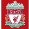 Liverpool Handdoek YNWA 70 X 140 Cm