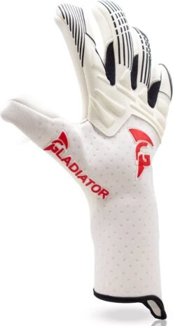 Gladiator Sports EVO Keepershandschoenen Kinderen - Maat 7 -Merkloos Winkel 637x1200