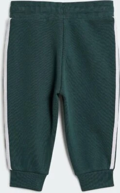 Adidas Adicolor Hoodie Set Junior Trainingspak Unisex - Maat 80 14 Adidas Adicolor Hoodie Set Junior Trainingspak Unisex - Maat 80 -Merkloos Winkel 746x1200 6