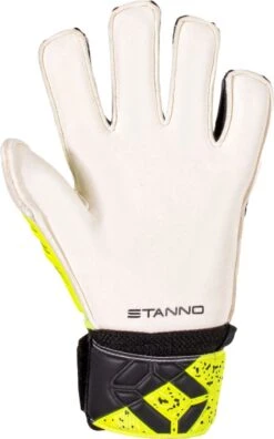 Stanno Fingerprotection JR IV Keepershandschoenen - Maat 7 19 Stanno Fingerprotection JR IV Keepershandschoenen - Maat 7 -Merkloos Winkel 749x1200