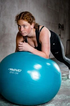 Avento Fitness/Gymbal + Pomp - Ø 65cm - Zwart -Merkloos Winkel 799x1200 42