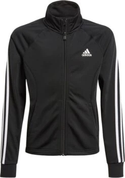 Adidas 3-Stripes Team Primegreen Trainingspak Kids - Maat 128 -Merkloos Winkel 844x1200 10
