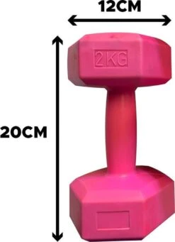 Merkloos Dumbbells - Set Van 2x 2kg - Roze -Merkloos Winkel 869x1200 11
