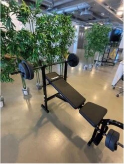 BENCH PRESS / HALTERBANK / TRAININGSBANK / INCL HALTER STANG EN 20 KG GEWICHT HALTERSCHIJVEN VERSTELBAAR !!