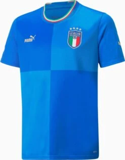 Puma FIGC It Sportshirt Mannen - Maat L