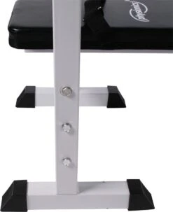 Physionics - Halterbank - Dips Bank - Bankdruk - Buiktrainer - Rugtrainer - Gewicht Heffen - Antislip - Verstelbaar -Merkloos Winkel 979x1200 11