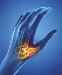 Epitact Flexibele Duimbrace. Ondersteunt Verlicht Gewrichtspijn Rechterhand Maat S. -Merkloos Winkel 994x1200 14